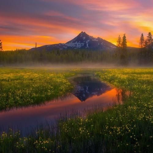 توی کوچه ها برفه دل من پر حرفه