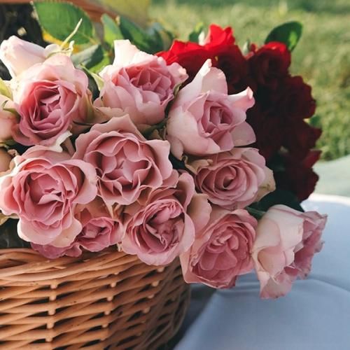  بابا این جنسی که زدیم کمیکاله