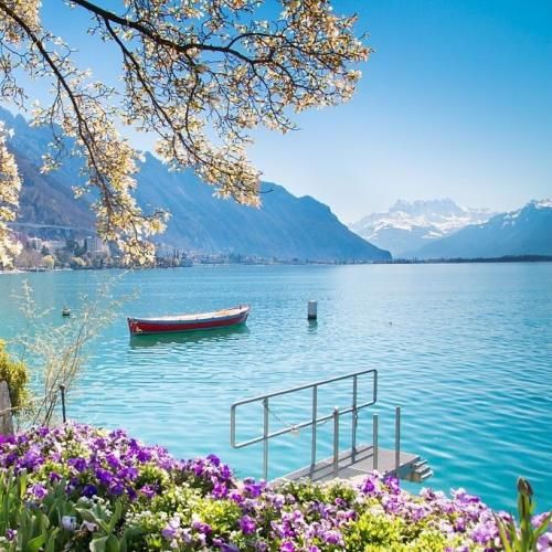 نه نه نه نرو بیبی همین یه دفعه رو