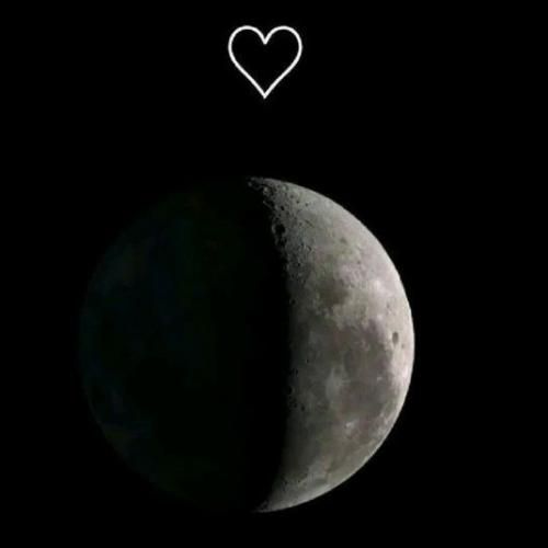 با منی که صلاحی مقابلت ندارم نجنگ پاره ی تنم