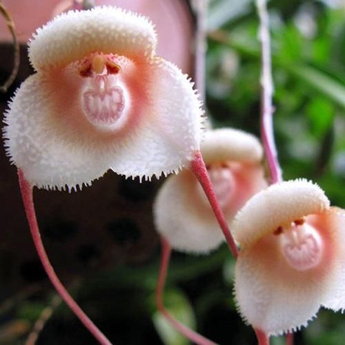  قلبم تا ازم دور میشی دلتنگم رو همه چشامو میبندم با صدای زن