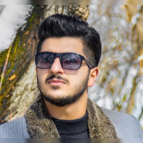 امیر سیاوشی دوتار