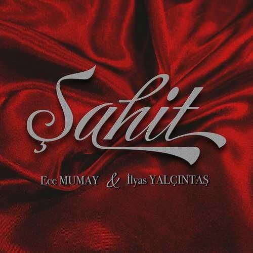 ایلیاس یالچینتاش شاهد