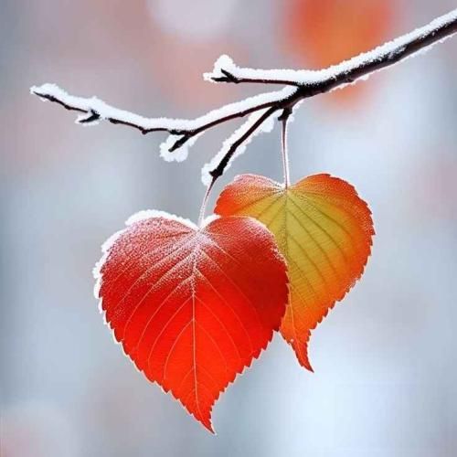 چی داری واسه گفتن آخه لعنتی تو خیلی رو داری