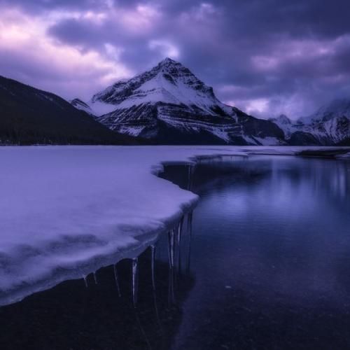 من عاشق بعدی هام اونایی که شب میان