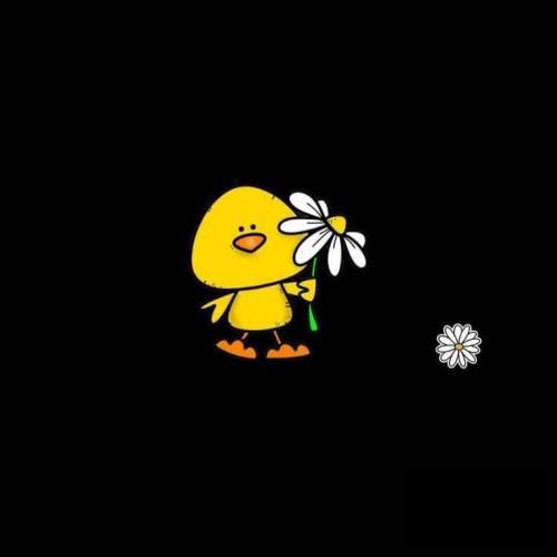 آمریکا آمریکا ننگ به نیرنگ