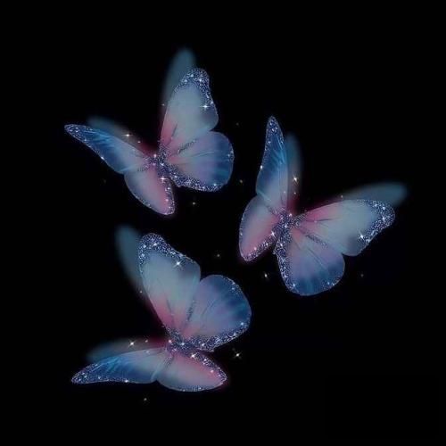  حال من و تو که نگرانی نداره اصلا خیالی نی برو بدبینی