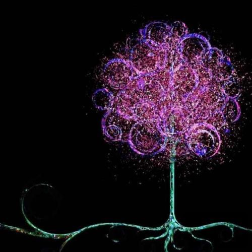 گاهی باید رفت باید برید باید گذشت