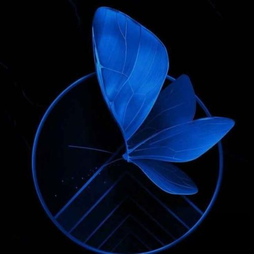 مینیموم مینیموم روسی گنگ