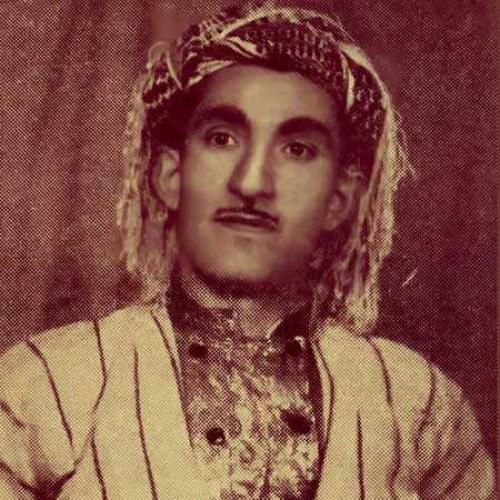 حسن زیرک باغی زه مبیل