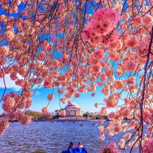 دختر حاجی الماس تیپ میزنه چپ و راست