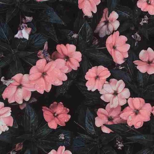 طلاقه راه پر کشیدن وقتی که قلبامون بریدن