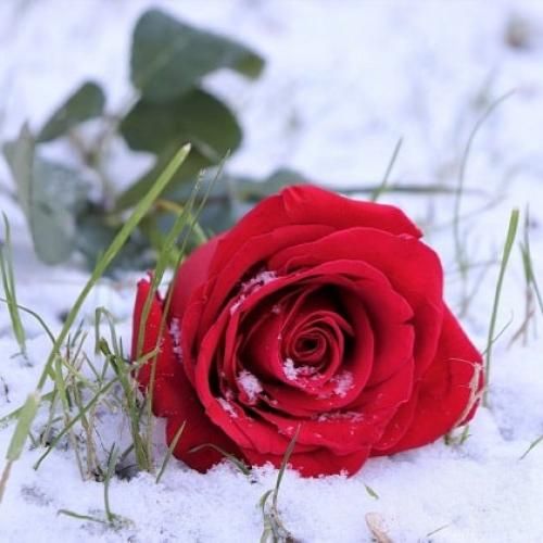 سوئیچ اونور وصله به جا کلید