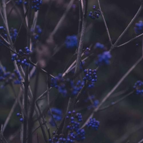  چرا همه میمیرن میشن عزیز تو به خودت باختی صد هیچ