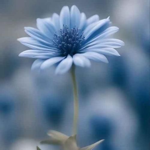  بابا عیب نیستا بالا پایین همه دارن منم به روزایی 