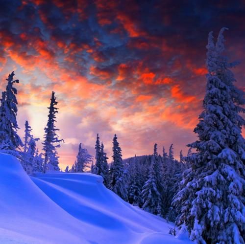  قرص چی واسه خواب داری