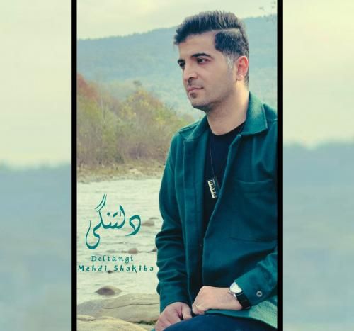 مهدی شکیبا دلتنگی