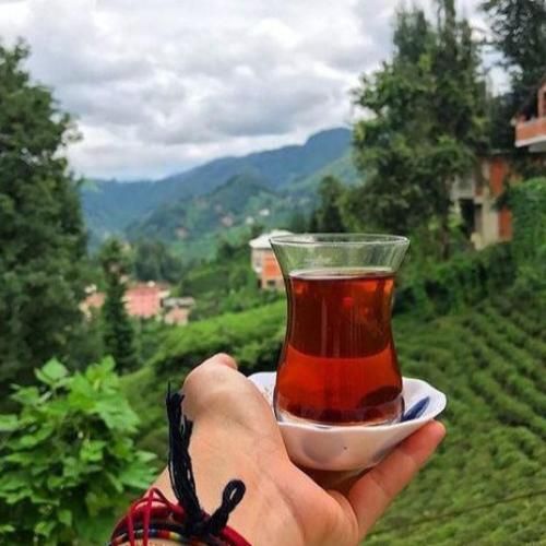  میخوام از درد داد بزنم زمینو گاز بگیرم