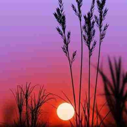 مجوزمو خیابون داده نه یه کت شلواری پشت میز