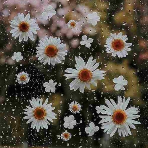 بمیرم من واسه اون دل شکسته با صدای زن