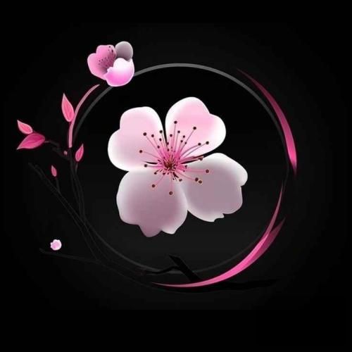  تو موسیقی انقلاب کردی چرا تو اصن هیچی حالیت