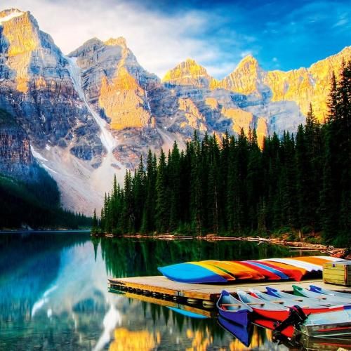  آژیرای مامور داریم جنسای مرغوب