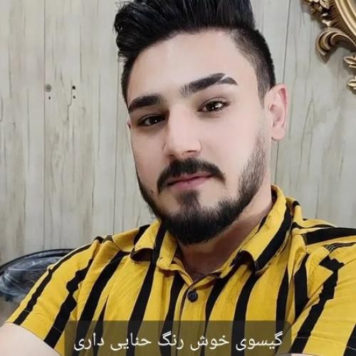 امیر اصلانی گیسوی خوش رنگ حنایی داری