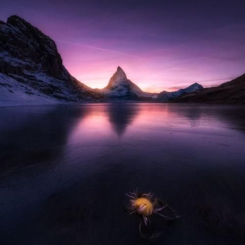 تو ماهی تو شیرین چقدر به دل میشینی با صدای زن