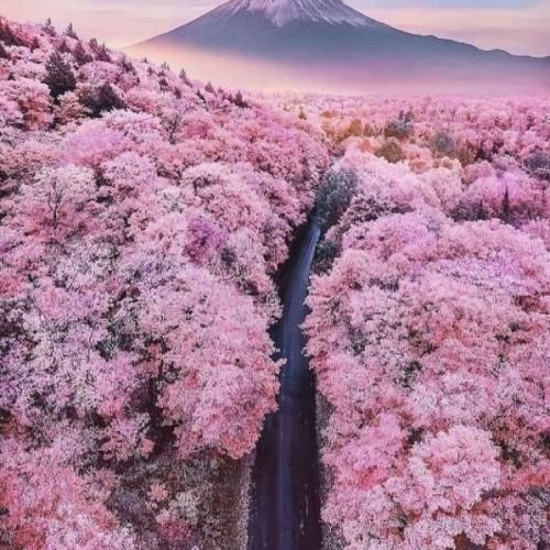 بدم اومده از همه از اون که بهم دروغ میگه