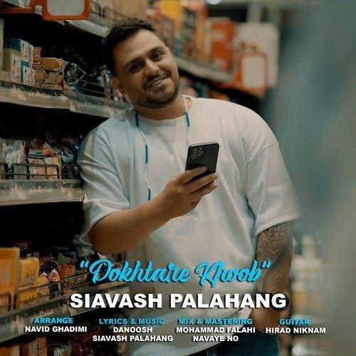 سیاوش پالاهنگ دختر خوب