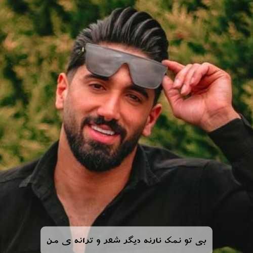 جواد عباسی بی تو نمک نارنه دیگر شعر و ترانه ی من