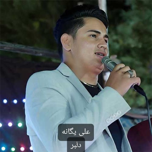 علی یگانه دلبر