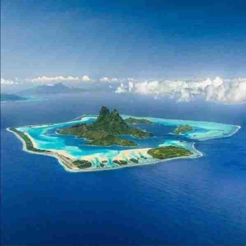  ای کاش تنها هم صحبتم سیری نبود