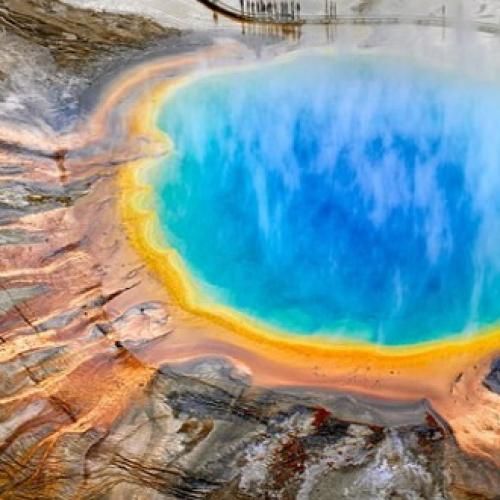 نه میمیرم نه برمیگردم بهتره از پشت بکشیدم