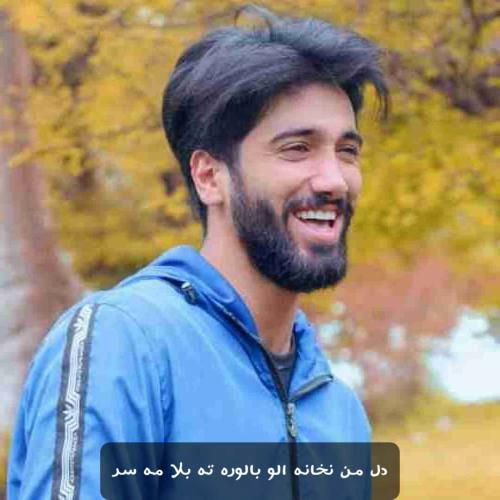 جواد عباسی دل من نخانه الو بالوره ته بلا مه سر