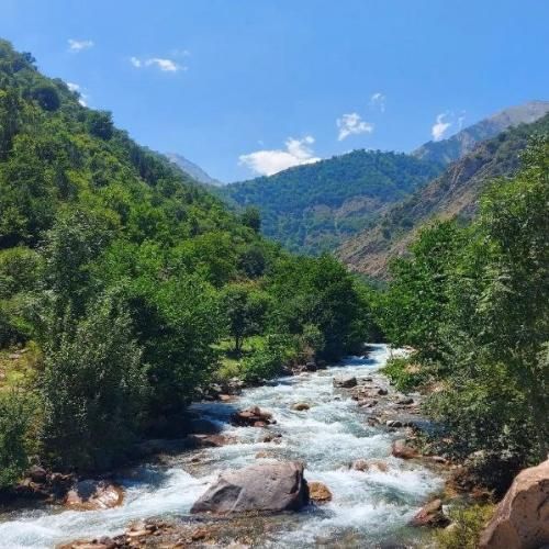  تو هیچوقت نرفتی لب جاده تا انتظارو بفهمی با صدای دختر