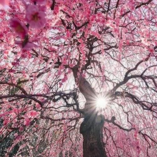  چقد بهت بگم روانی نزن همه فراری ازت