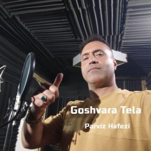 پرویز حافظی گوشواره طلا