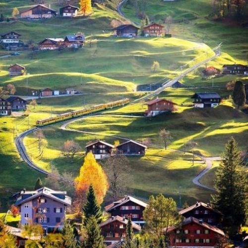 میکارن آرکاداشام تهران گل علفا پک میشه میره استانبول