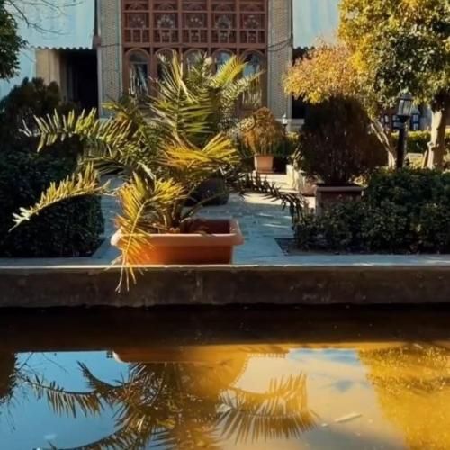  بازم یه پیک آوردی واسه من بیبی پ خودت چی