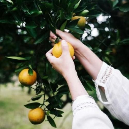  آرامشم بودی ولی شدی عوض با صدای پسر بچه اینستایی