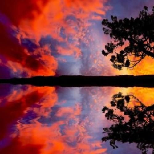 دیمه خانه دله بیمه نگران دلبر با صدای زن