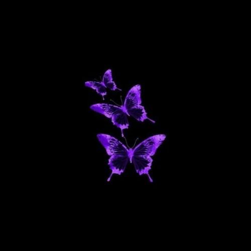 مازندرانی دست بزنین دست بزنین تریاک بست بست بزنین