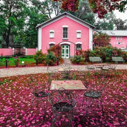  تازه میخواستم اخلاقای گندم و پس بگیرم تموم شد