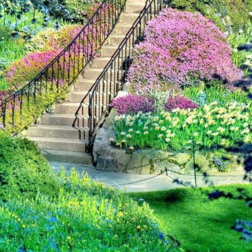  آسمون و نگاه خورشید داره میتابه به ما برقص