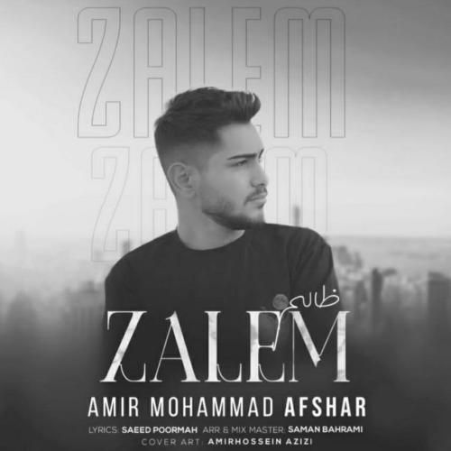 امیرمحمد افشار ظالم