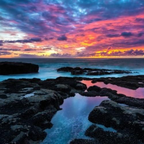 بوم بوم بوم بوم شما میگی سلامتی ما سلوم بوم بوم