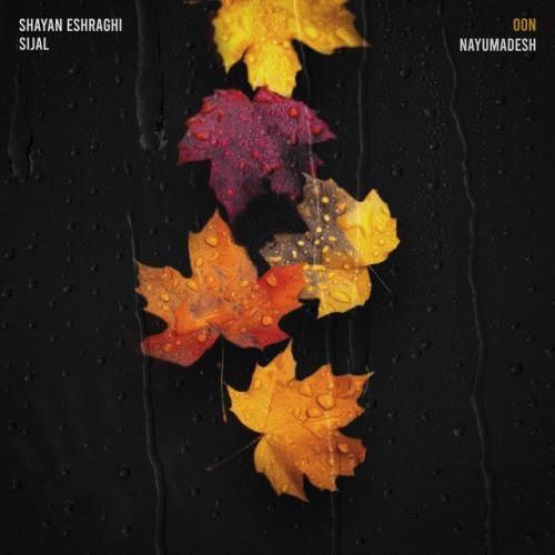 سیجل و شایان اشراقی اون نیومدش