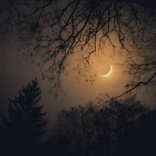 دانلود آهنگ گرگ و میش از بهرام و علی سورنا