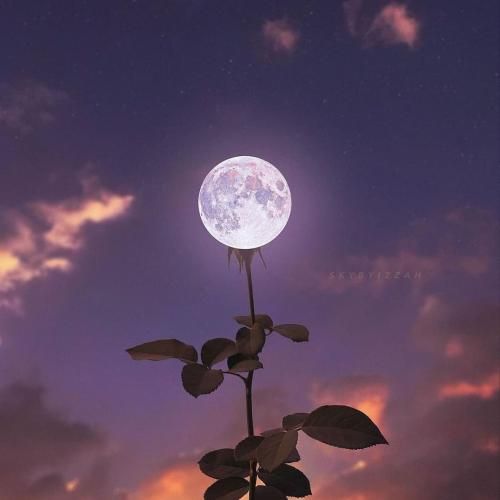 دانلود آهنگ شعر بیداری از علی سورنا و بهرام